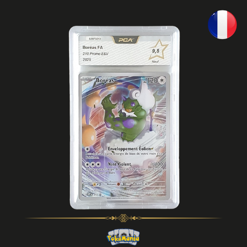 2025 Promo E&V - Boréas FR - 210 - PCA 9.5