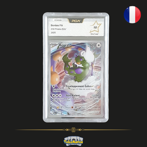 2025 Promo E&V - Boréas FR - 210 - PCA 10
